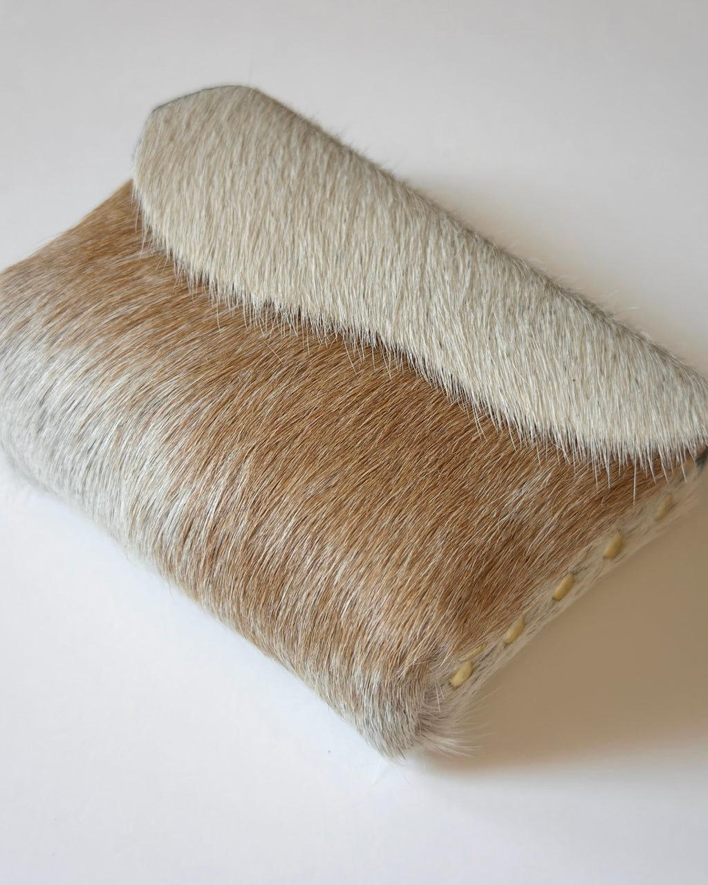 Camera Case 09