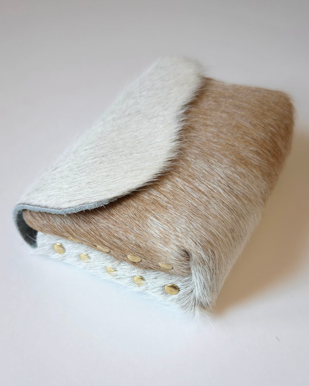 Camera Case 09