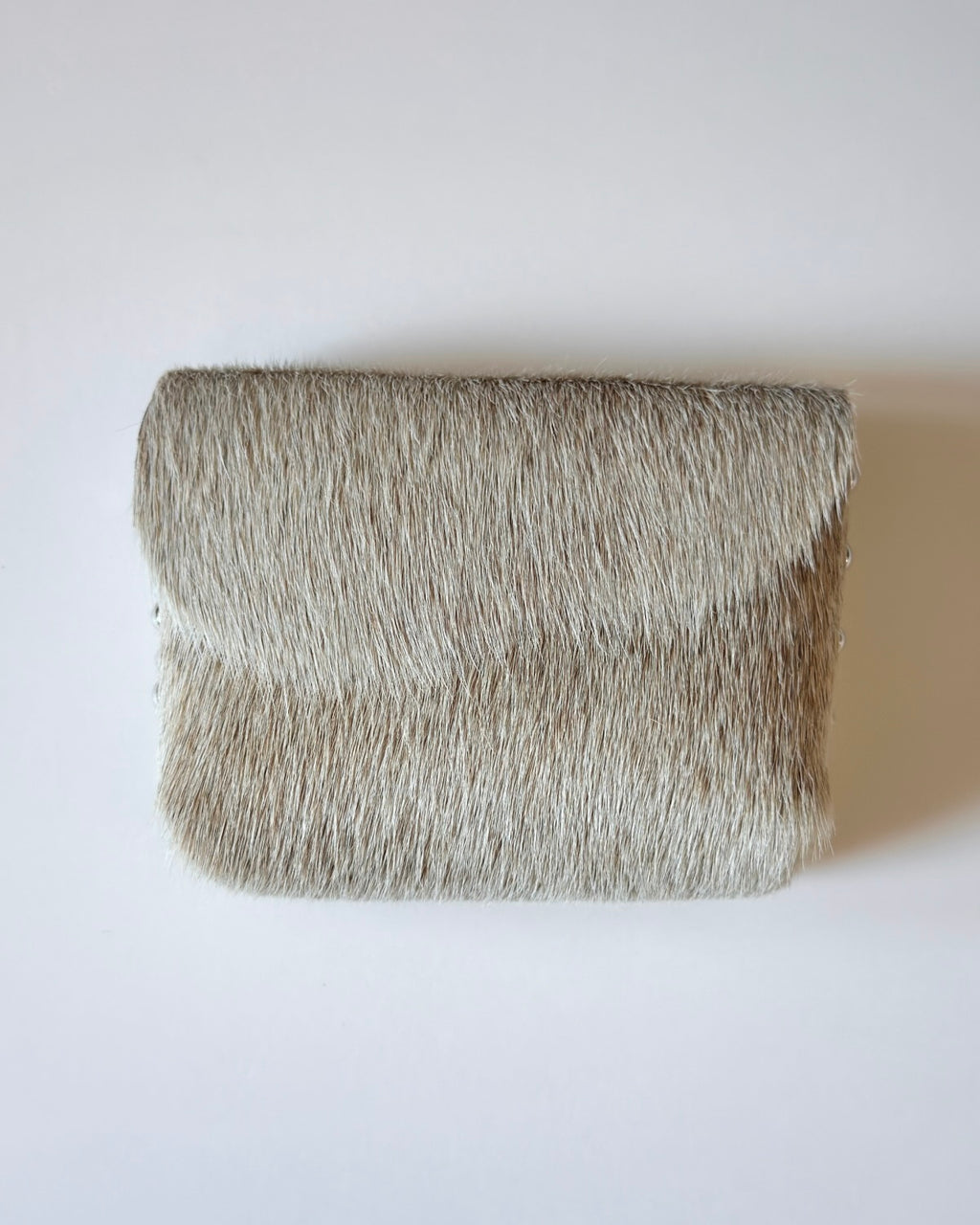 Camera Case 10