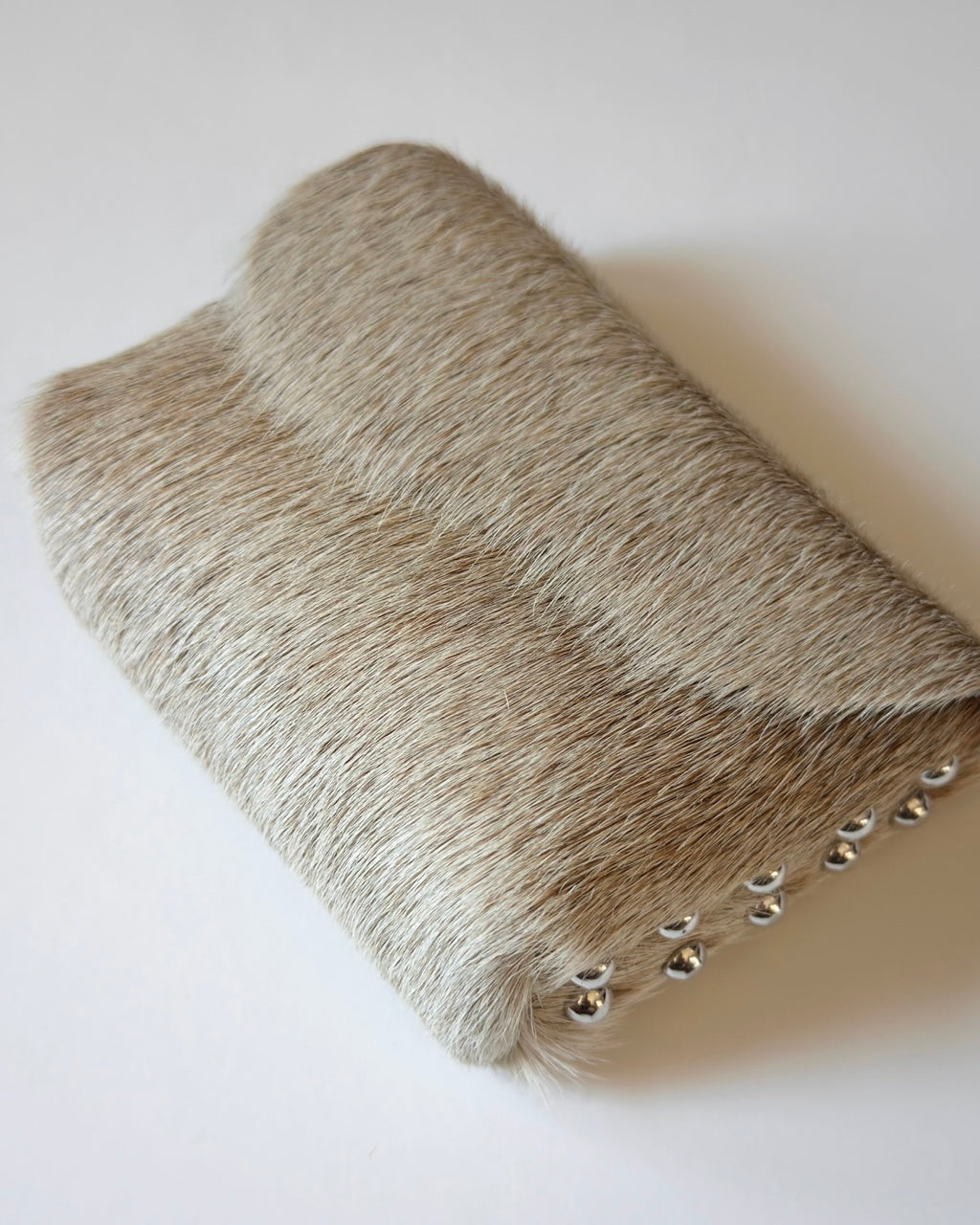 Camera Case 10