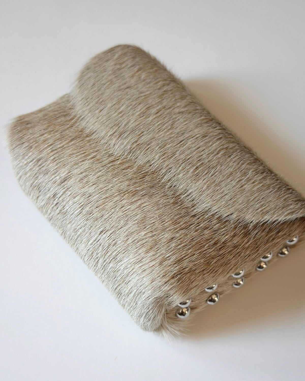 Camera Case 10