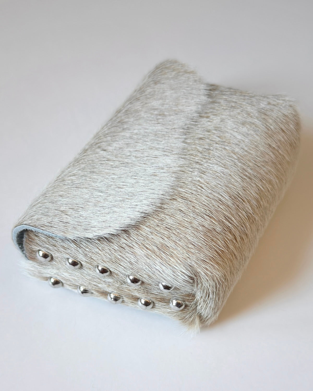 Camera Case 10