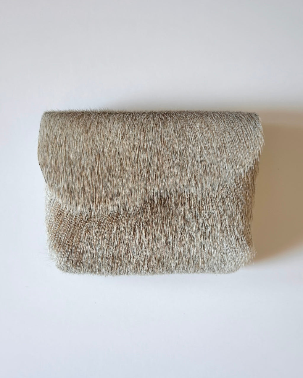 Camera Case 11