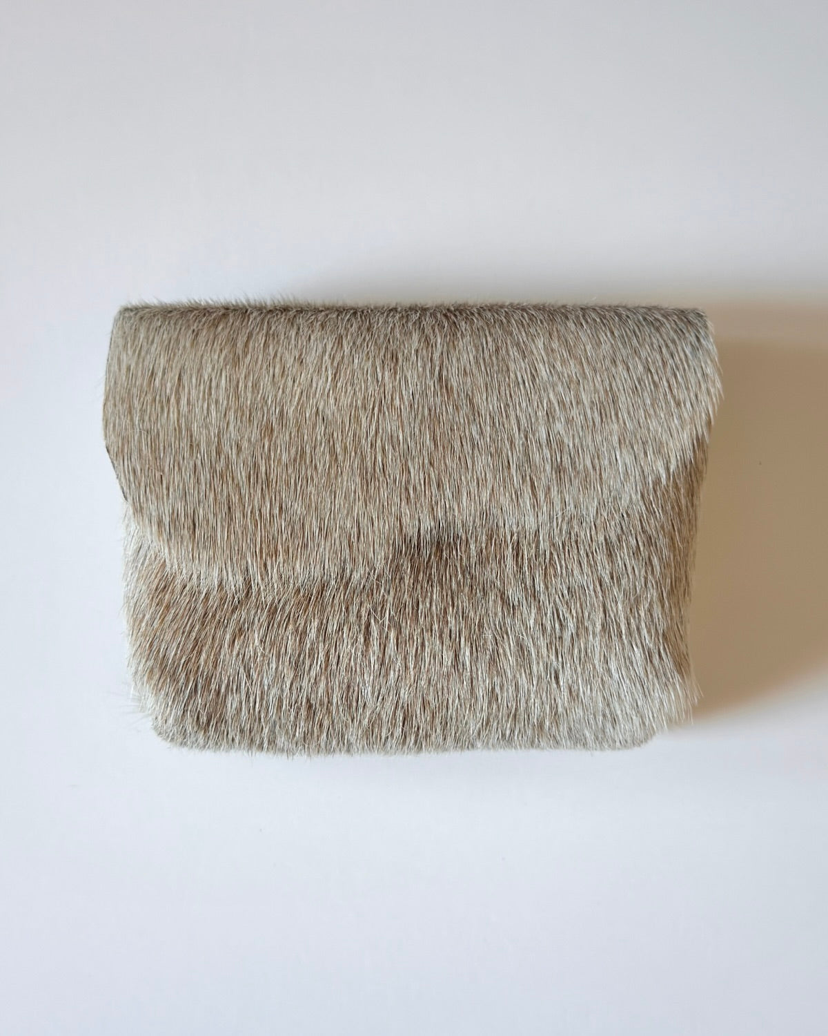 Camera Case 11