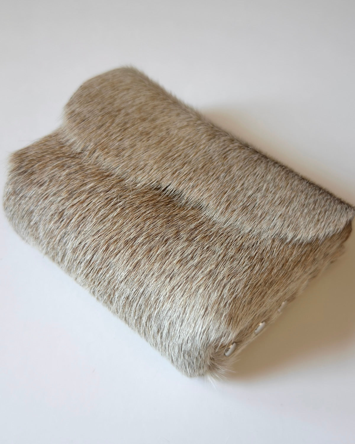 Camera Case 11