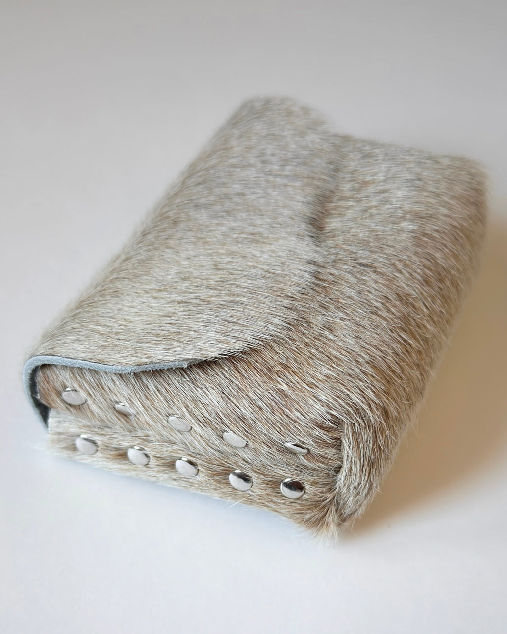 Camera Case 11