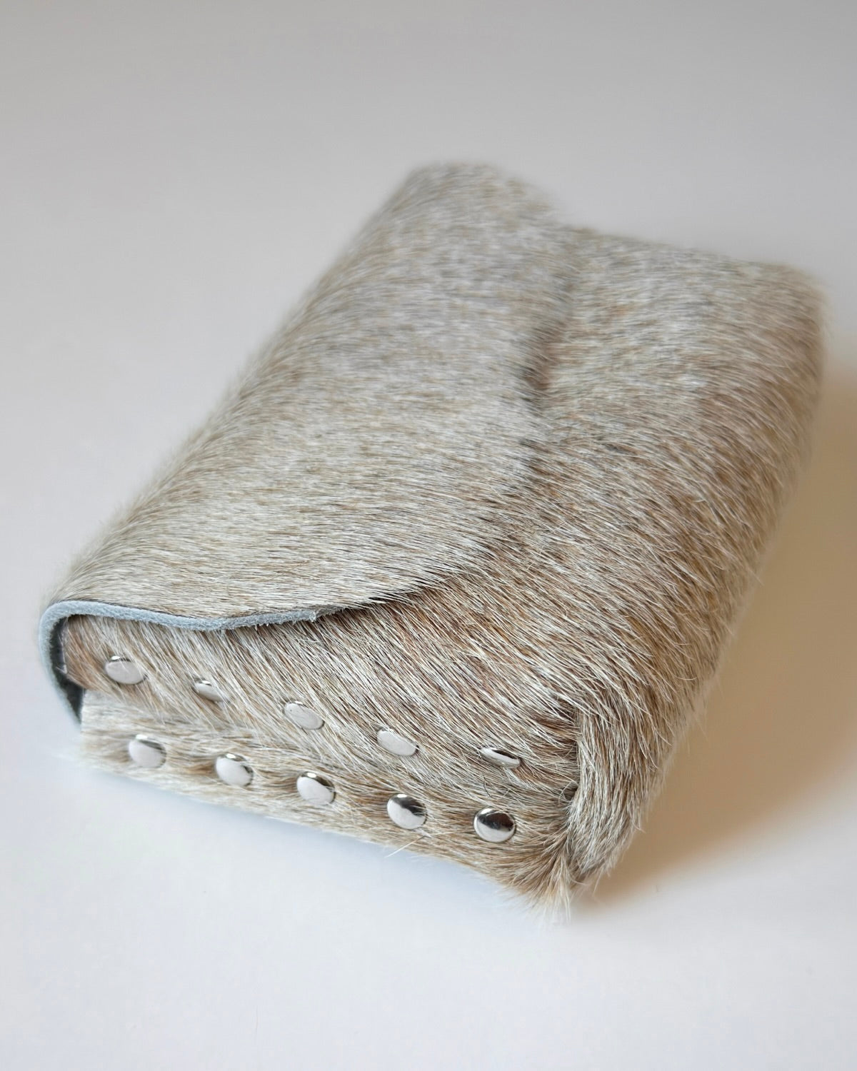 Camera Case 11