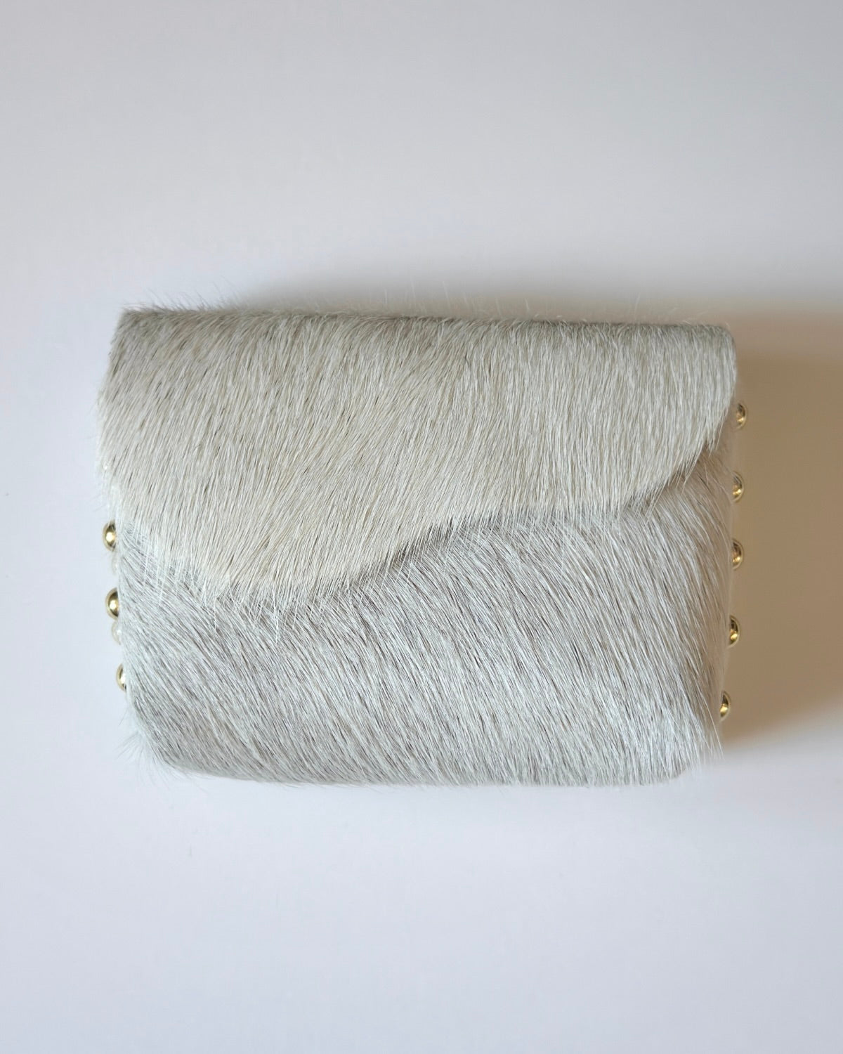 Camera Case 12