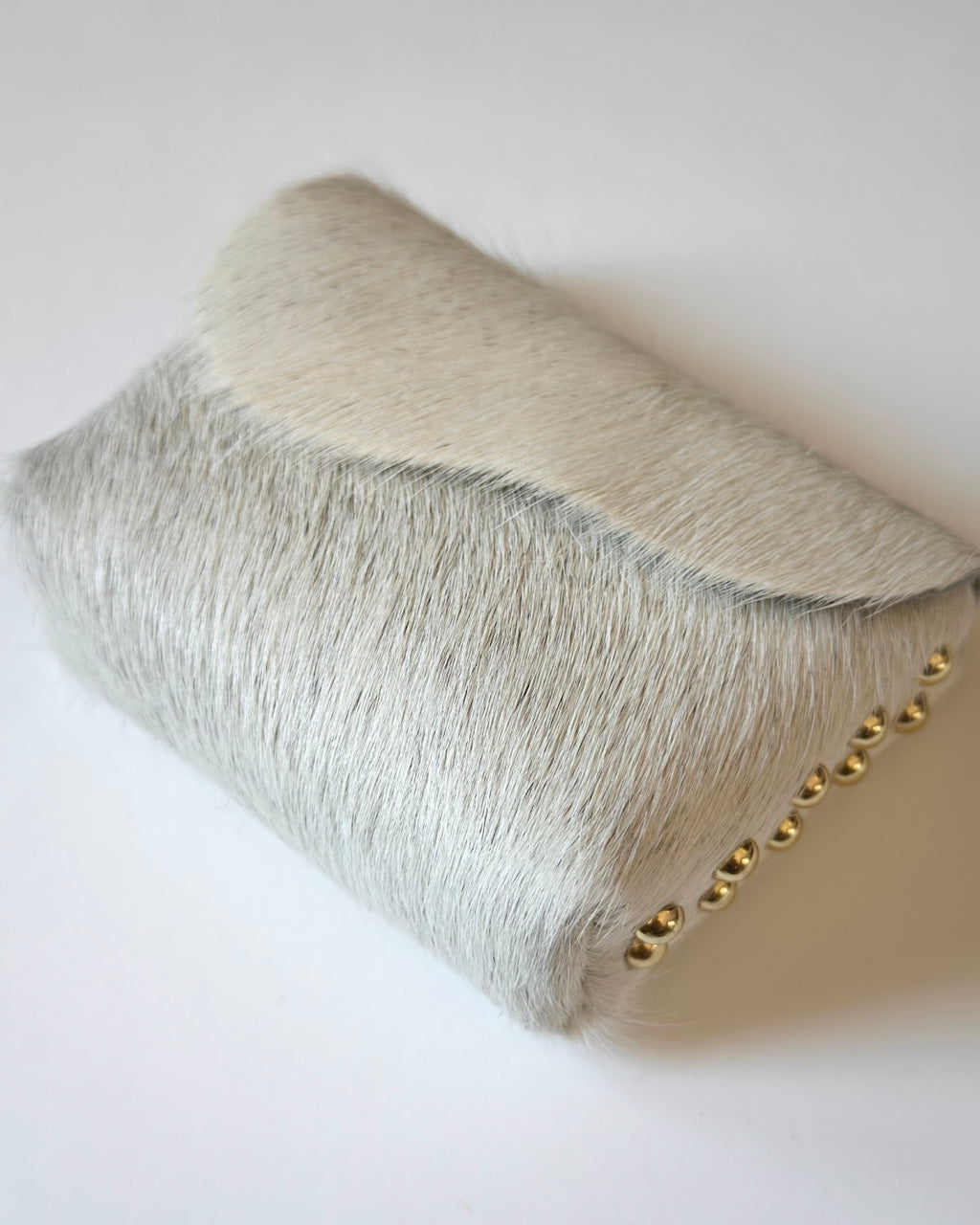 Camera Case 12