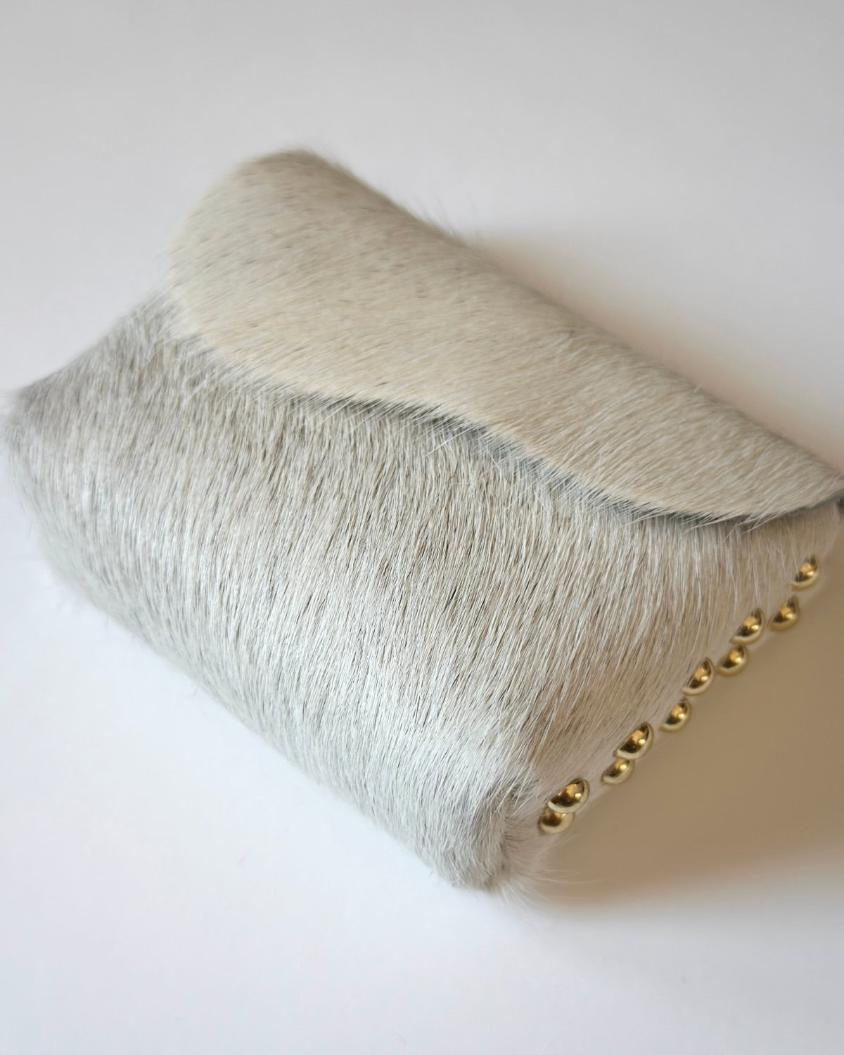 Camera Case 12