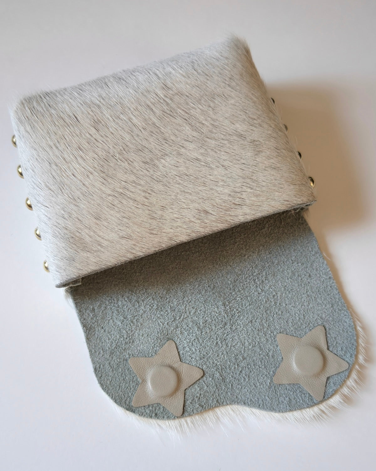 Camera Case 12