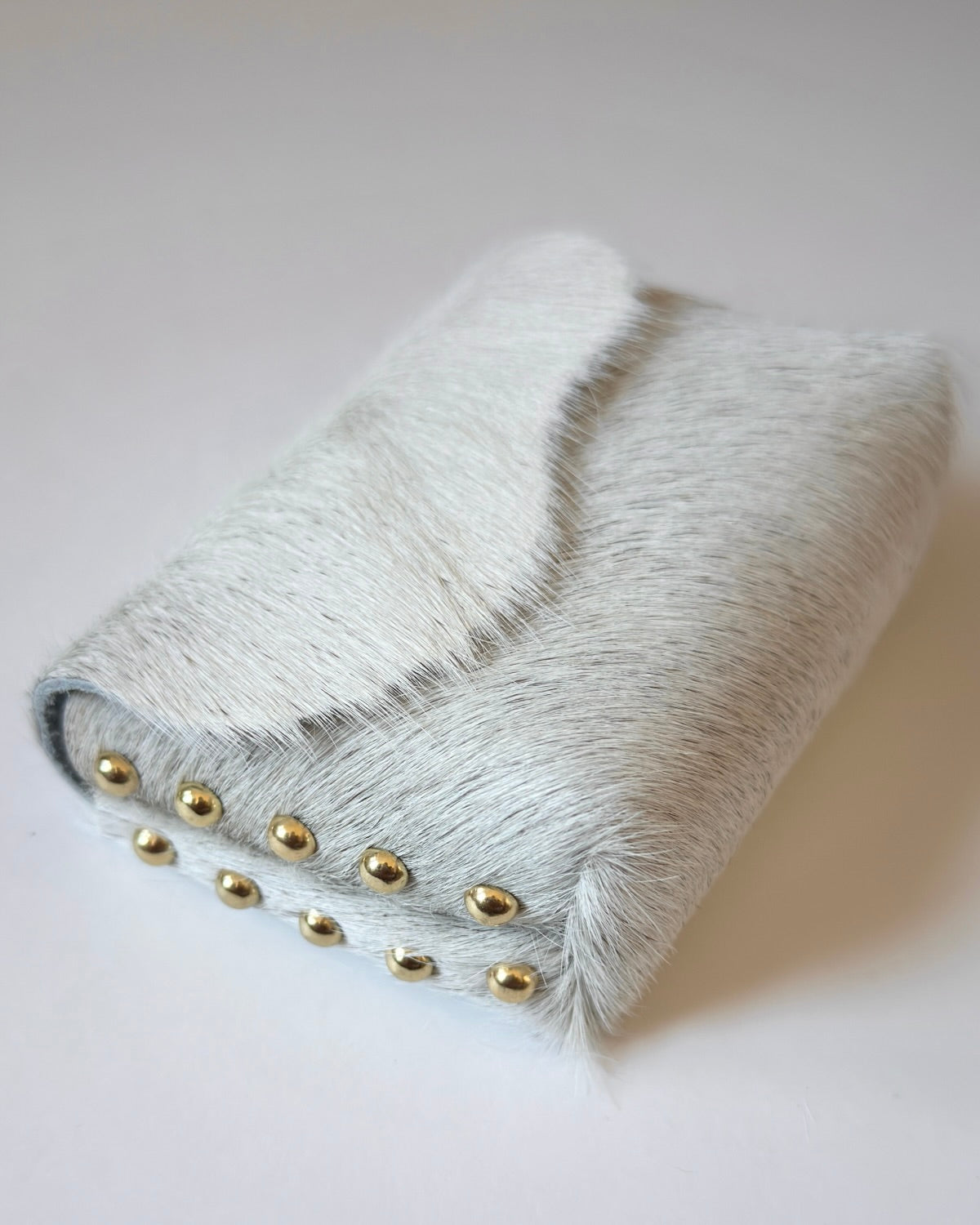Camera Case 12