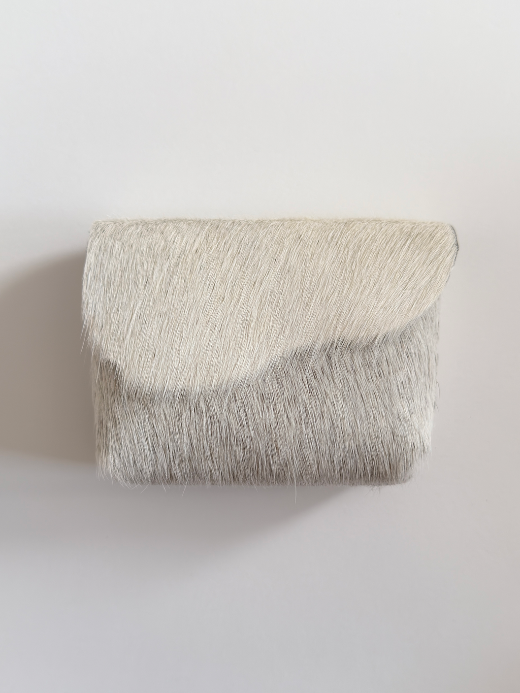 Camera Case 03