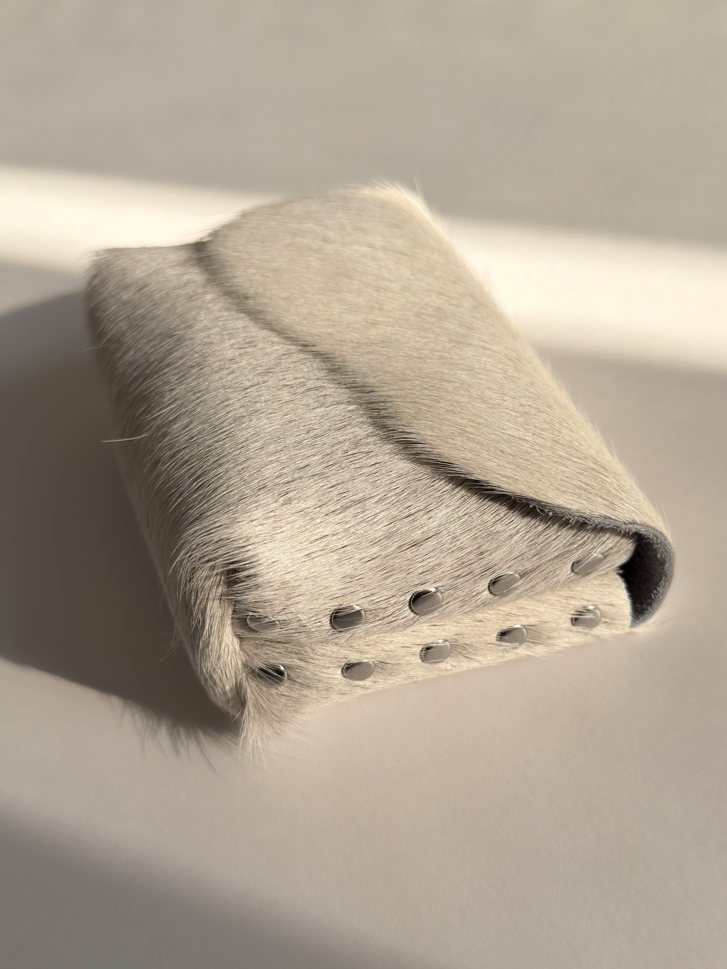 Camera Case 03