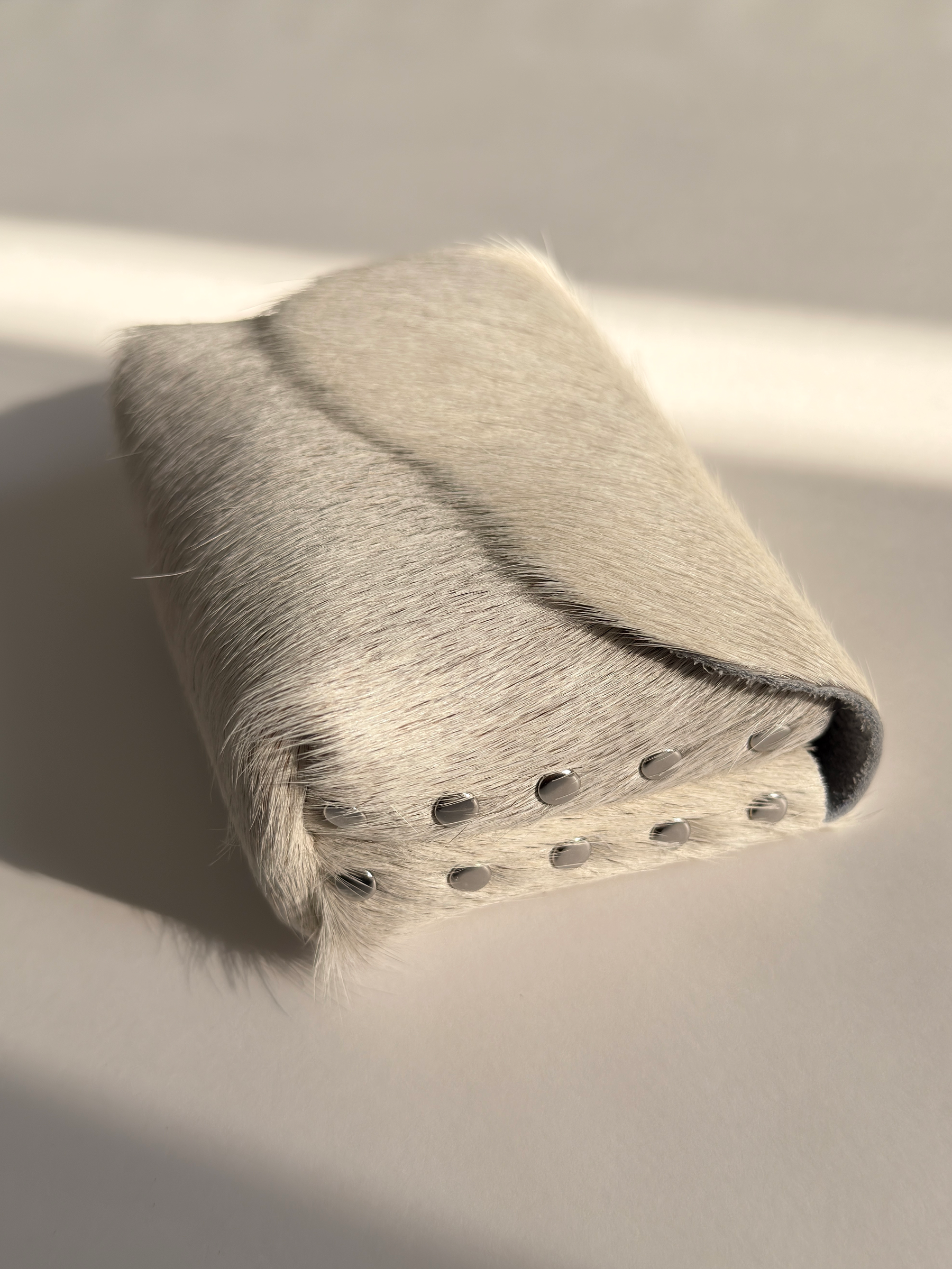 Camera Case 03