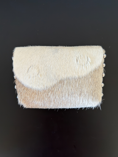 Camera Case 01