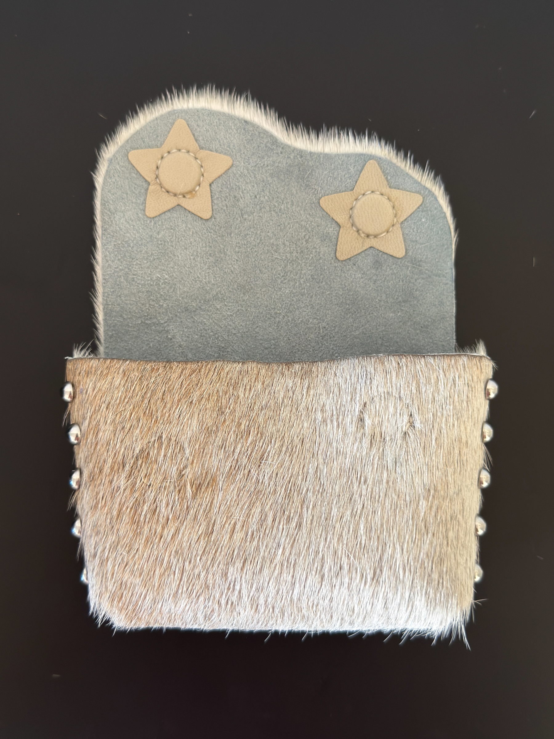 Camera Case 01