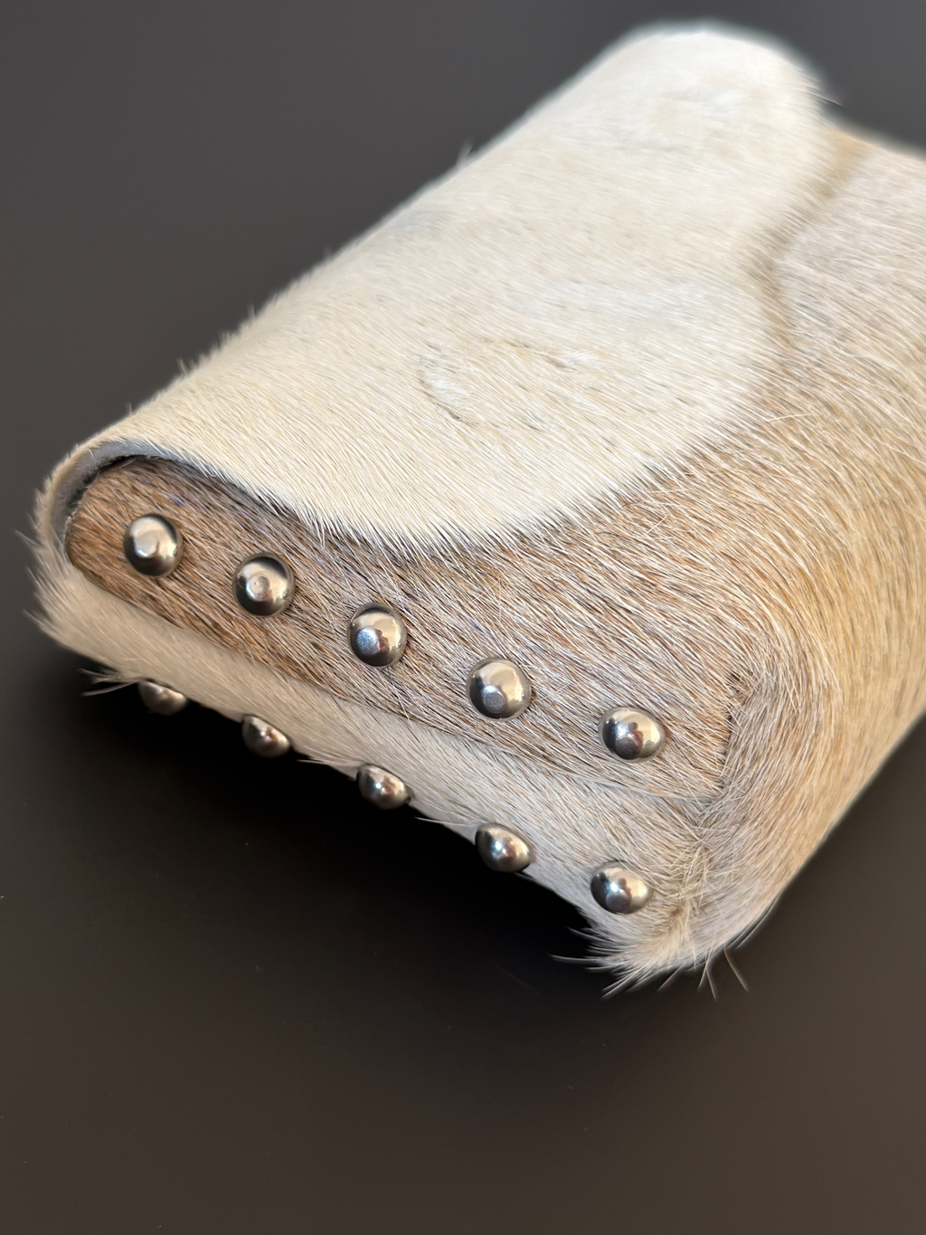 Camera Case 01