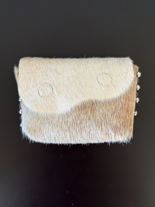 Camera Case 02