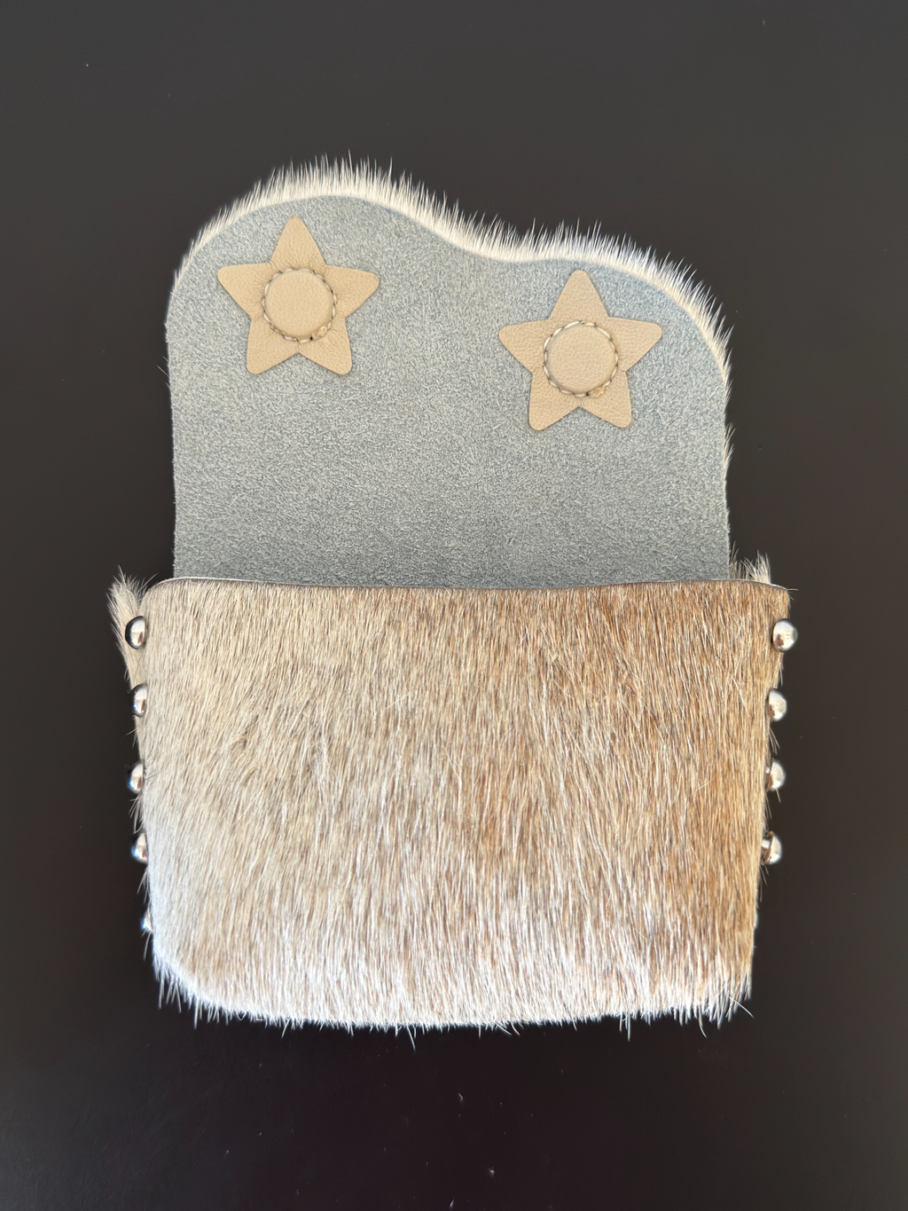 Camera Case 02