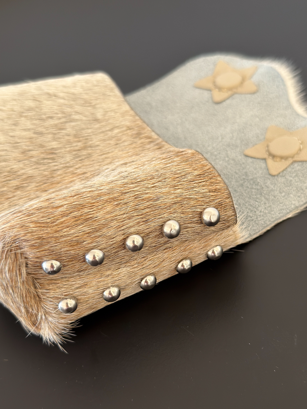 Camera Case 02