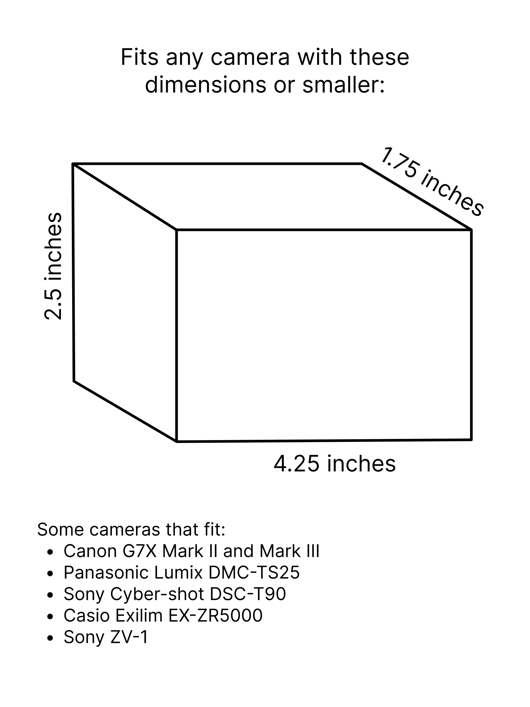 Camera Case 01