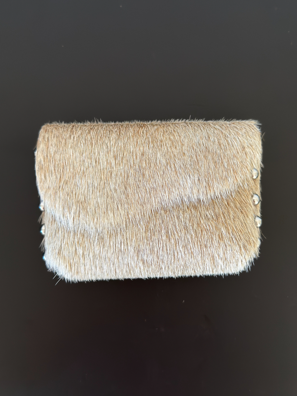 Camera Case SAMPLE