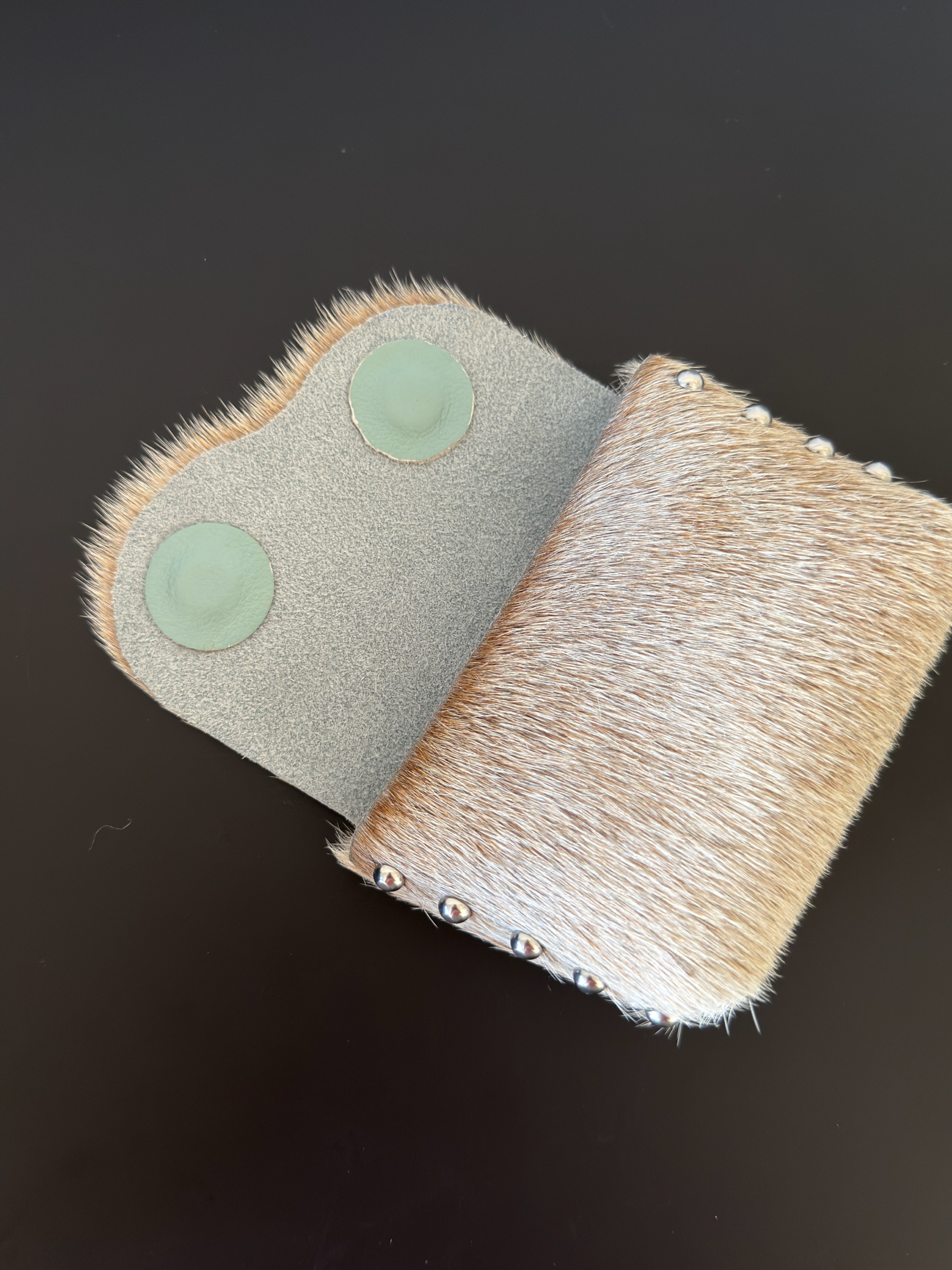 Camera Case SAMPLE