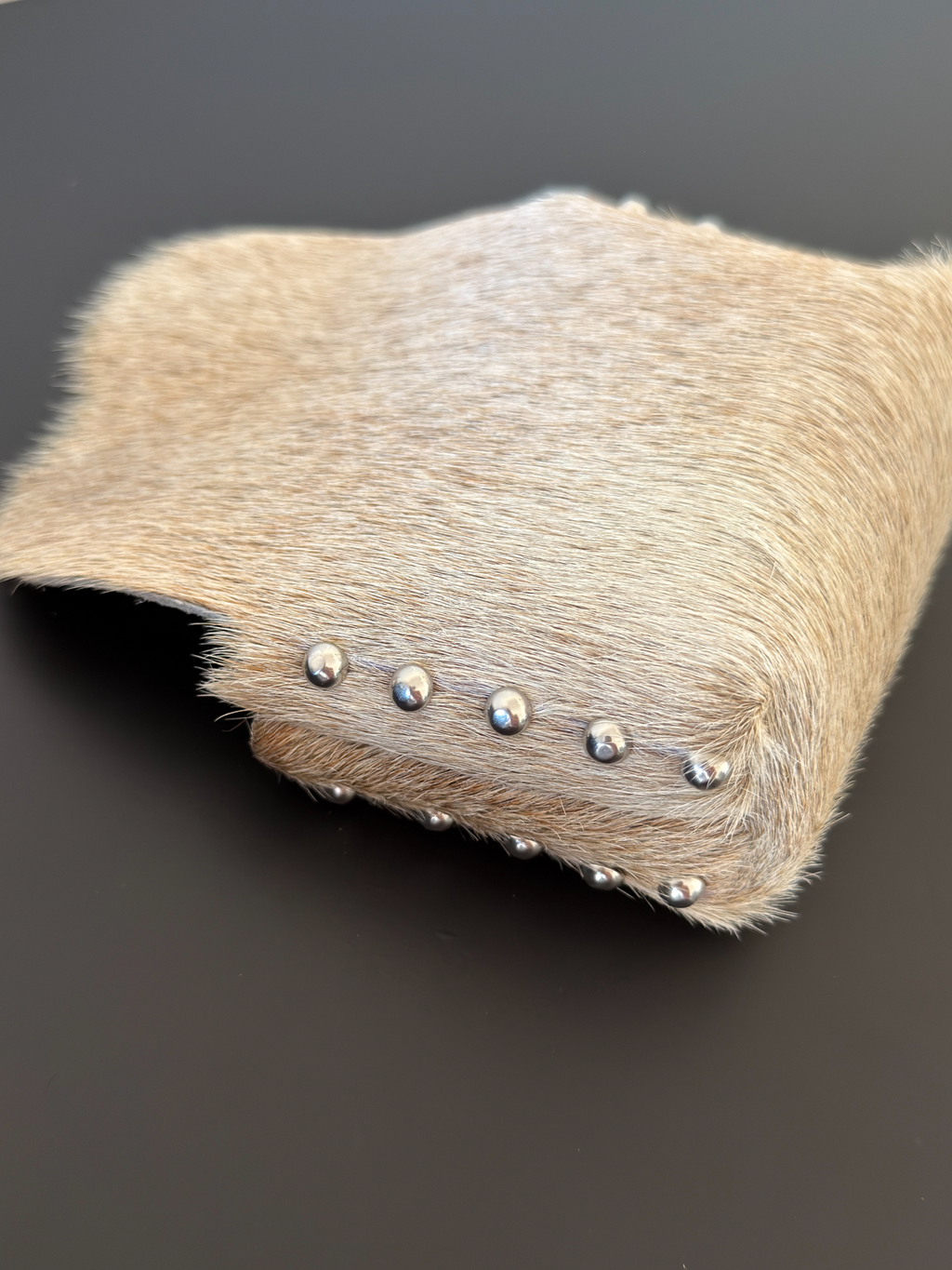 Camera Case SAMPLE